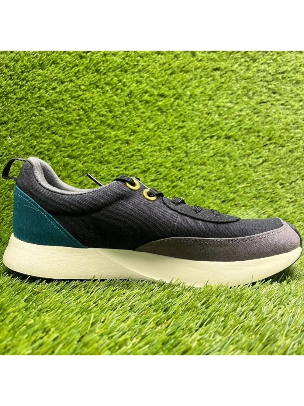 allbirds please review